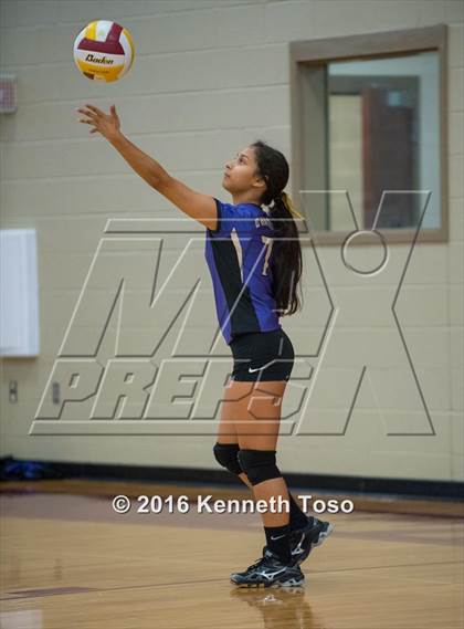Thumbnail 2 in D'Hanis vs. Lanier (Arabian Round-up) photogallery.