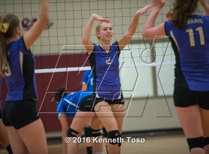 Thumbnail 1 in D'Hanis vs. Lanier (Arabian Round-up) photogallery.
