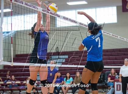 Thumbnail 3 in D'Hanis vs. Lanier (Arabian Round-up) photogallery.
