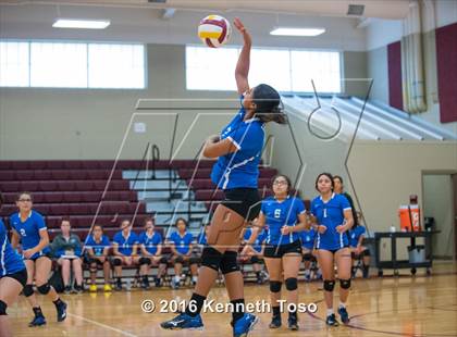 Thumbnail 3 in D'Hanis vs. Lanier (Arabian Round-up) photogallery.
