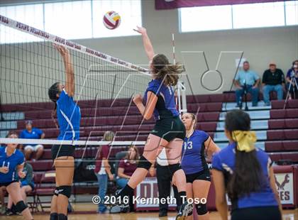Thumbnail 3 in D'Hanis vs. Lanier (Arabian Round-up) photogallery.