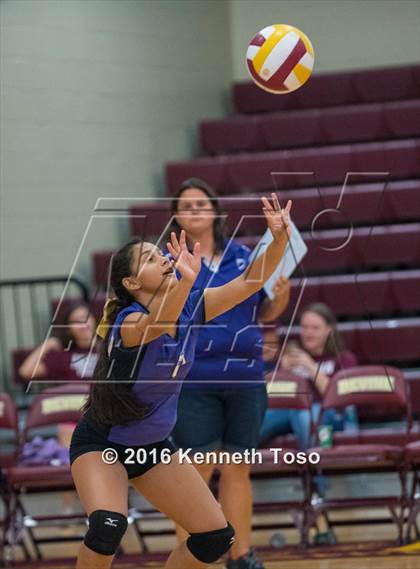 Thumbnail 3 in D'Hanis vs. Lanier (Arabian Round-up) photogallery.