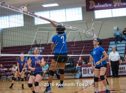 Thumbnail 2 in D'Hanis vs. Lanier (Arabian Round-up) photogallery.