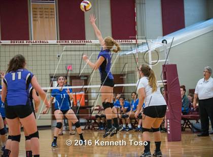 Thumbnail 3 in D'Hanis vs. Lanier (Arabian Round-up) photogallery.