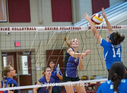 Thumbnail 1 in D'Hanis vs. Lanier (Arabian Round-up) photogallery.
