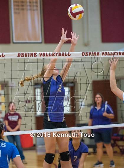 Thumbnail 1 in D'Hanis vs. Lanier (Arabian Round-up) photogallery.