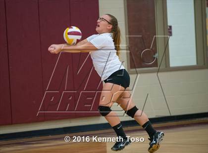 Thumbnail 3 in D'Hanis vs. Lanier (Arabian Round-up) photogallery.