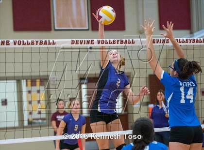 Thumbnail 2 in D'Hanis vs. Lanier (Arabian Round-up) photogallery.