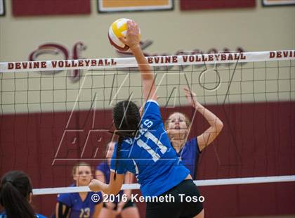 Thumbnail 2 in D'Hanis vs. Lanier (Arabian Round-up) photogallery.