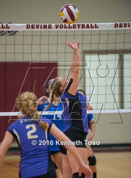 Thumbnail 1 in D'Hanis vs. Lanier (Arabian Round-up) photogallery.