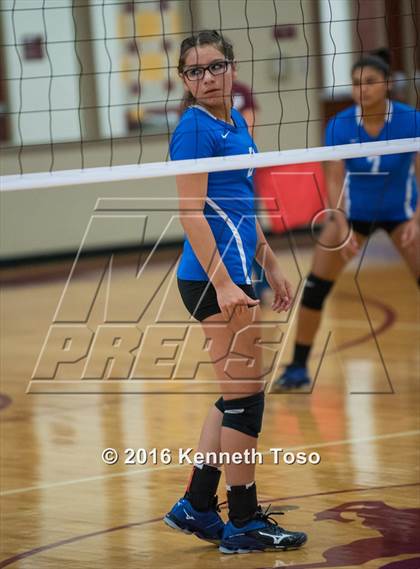 Thumbnail 2 in D'Hanis vs. Lanier (Arabian Round-up) photogallery.