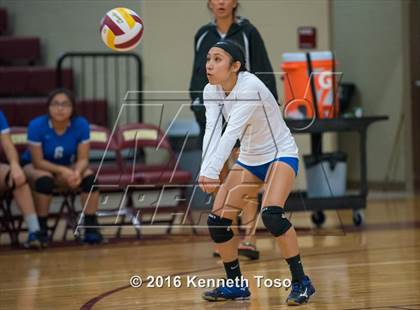 Thumbnail 2 in D'Hanis vs. Lanier (Arabian Round-up) photogallery.