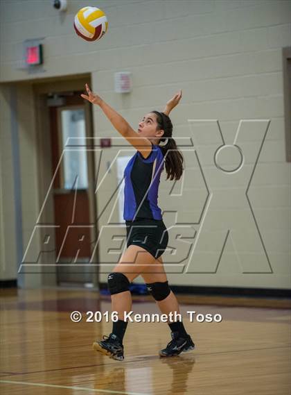 Thumbnail 3 in D'Hanis vs. Lanier (Arabian Round-up) photogallery.