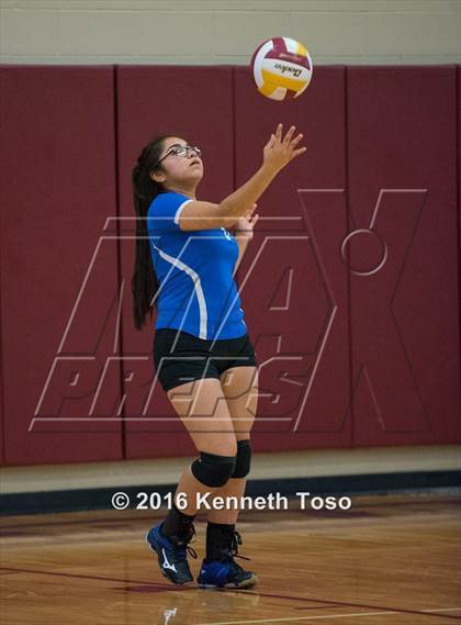 Thumbnail 2 in D'Hanis vs. Lanier (Arabian Round-up) photogallery.