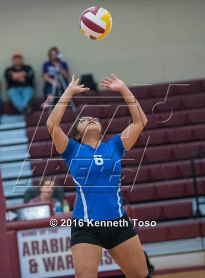 Thumbnail 2 in D'Hanis vs. Lanier (Arabian Round-up) photogallery.