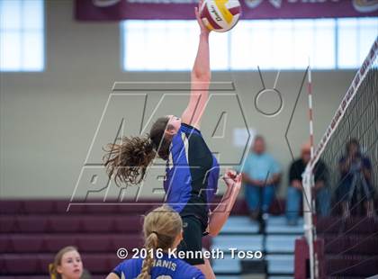 Thumbnail 1 in D'Hanis vs. Lanier (Arabian Round-up) photogallery.