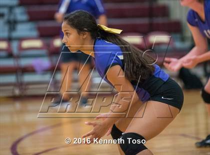 Thumbnail 2 in D'Hanis vs. Lanier (Arabian Round-up) photogallery.