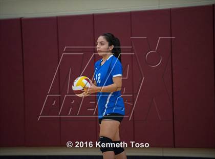 Thumbnail 3 in D'Hanis vs. Lanier (Arabian Round-up) photogallery.