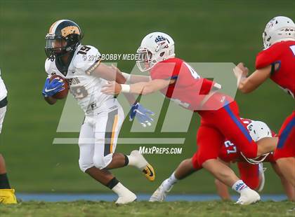 Thumbnail 1 in Edison @ Buchanan photogallery.