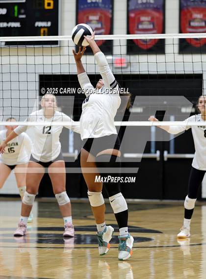 Thumbnail 1 in Croatan @ Havelock photogallery.