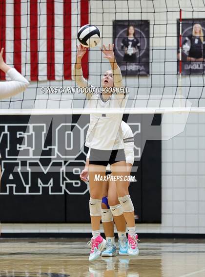 Thumbnail 3 in Croatan @ Havelock photogallery.