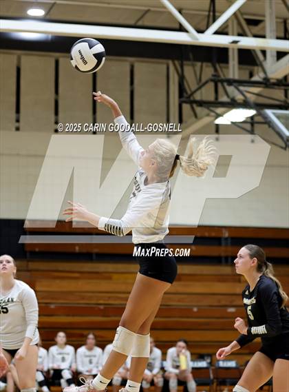 Thumbnail 1 in Croatan @ Havelock photogallery.