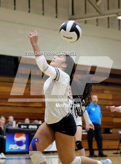 Thumbnail 1 in Croatan @ Havelock photogallery.