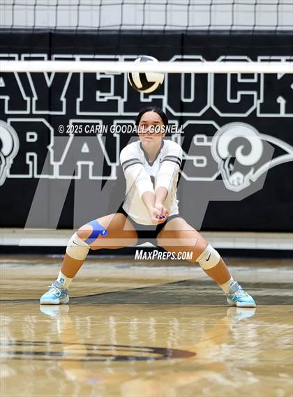 Thumbnail 1 in Croatan @ Havelock photogallery.