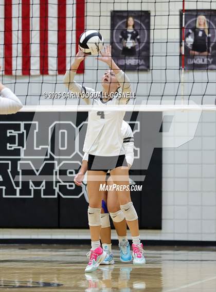 Thumbnail 2 in Croatan @ Havelock photogallery.