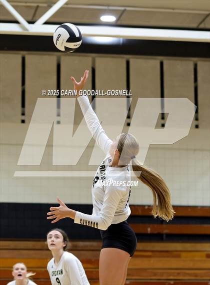 Thumbnail 1 in Croatan @ Havelock photogallery.