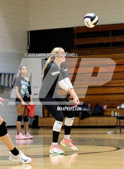 Thumbnail 2 in Croatan @ Havelock photogallery.