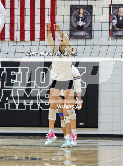 Thumbnail 1 in Croatan @ Havelock photogallery.