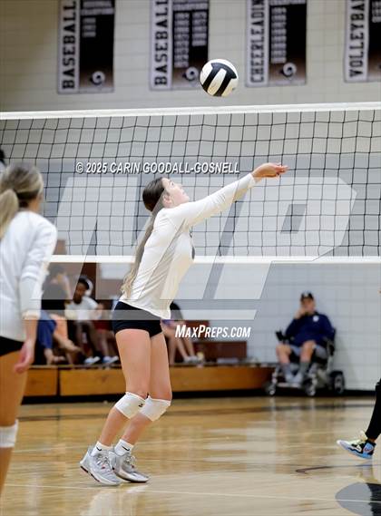 Thumbnail 1 in Croatan @ Havelock photogallery.