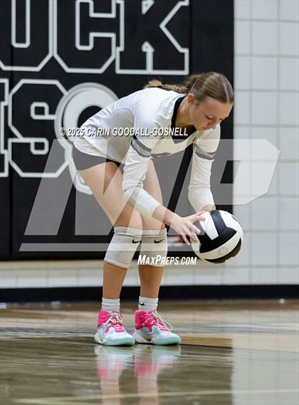 Thumbnail 1 in Croatan @ Havelock photogallery.