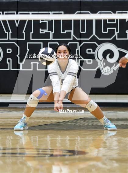 Thumbnail 2 in Croatan @ Havelock photogallery.