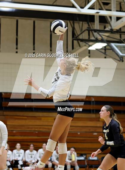 Thumbnail 3 in Croatan @ Havelock photogallery.