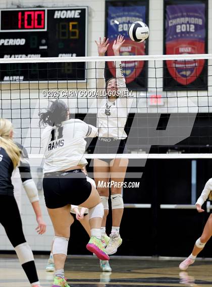 Thumbnail 1 in Croatan @ Havelock photogallery.