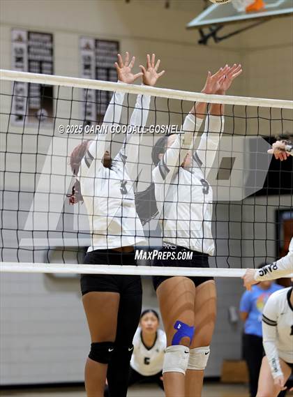 Thumbnail 1 in Croatan @ Havelock photogallery.