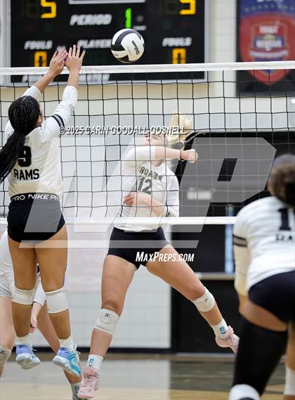 Thumbnail 1 in Croatan @ Havelock photogallery.