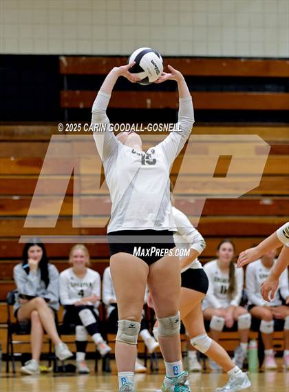 Thumbnail 2 in Croatan @ Havelock photogallery.