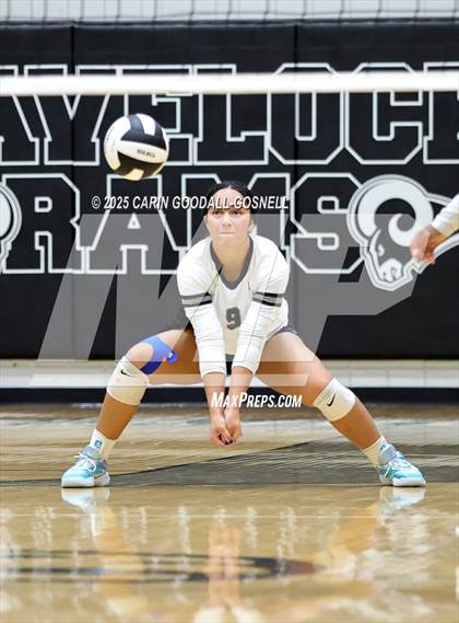 Thumbnail 1 in Croatan @ Havelock photogallery.