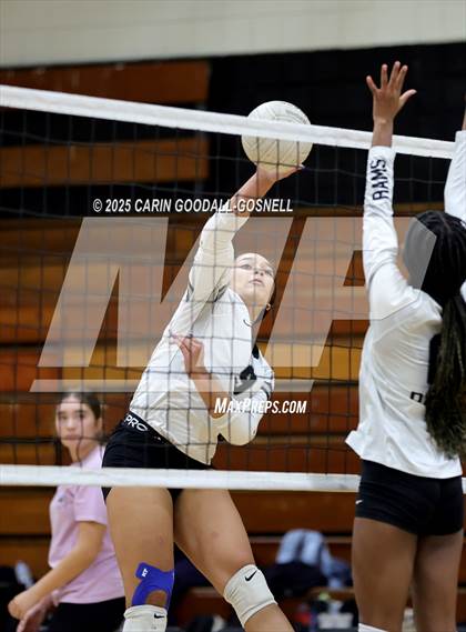 Thumbnail 2 in Croatan @ Havelock photogallery.