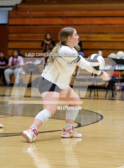 Thumbnail 1 in Croatan @ Havelock photogallery.