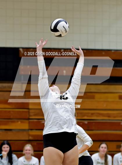 Thumbnail 3 in Croatan @ Havelock photogallery.