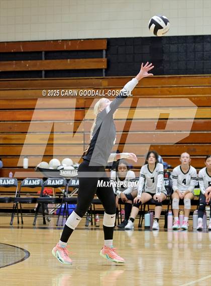 Thumbnail 3 in Croatan @ Havelock photogallery.