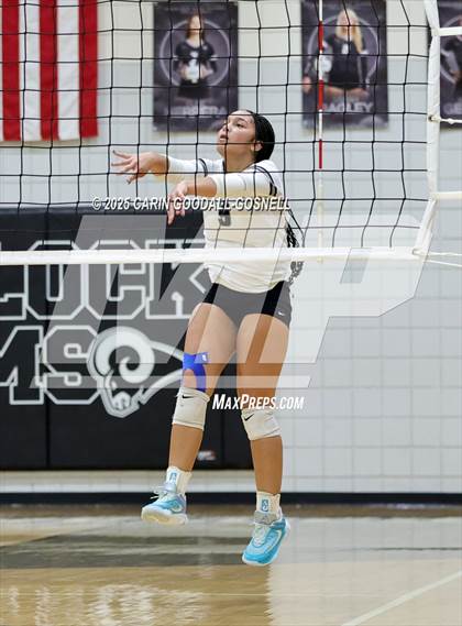 Thumbnail 1 in Croatan @ Havelock photogallery.