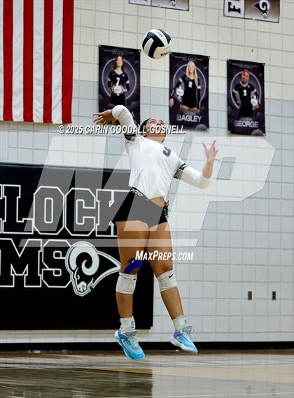 Thumbnail 1 in Croatan @ Havelock photogallery.