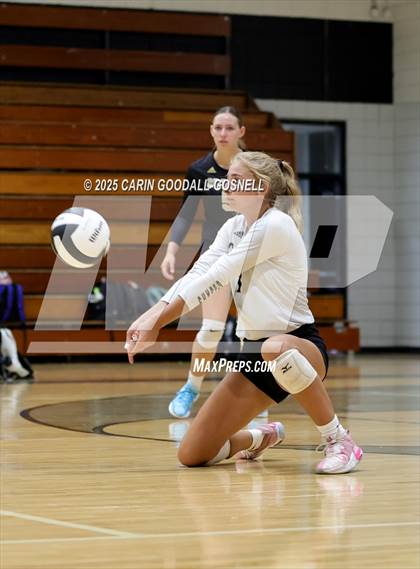 Thumbnail 3 in Croatan @ Havelock photogallery.