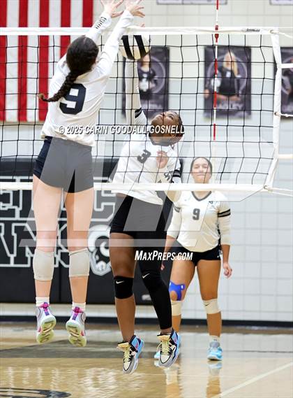 Thumbnail 2 in Croatan @ Havelock photogallery.