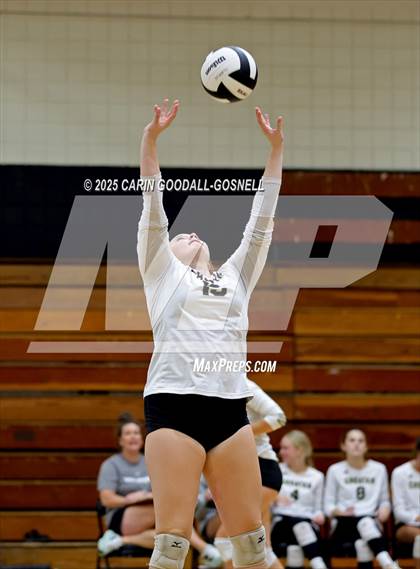 Thumbnail 2 in Croatan @ Havelock photogallery.